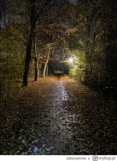 alibanplonie - @Gontyn-: kurła matrix