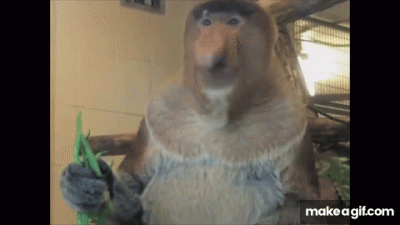 szyderczy_szczur - Ale ostra scybulka
Aż nosem idzie
Uła