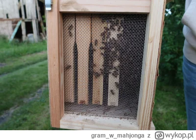 gramwmahjonga - @wysuszonyszkieletkostnyczlowieka @wincenty1 @sikejsikej @maturzystaz...