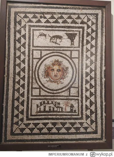 IMPERIUMROMANUM - Rzymska mozaika podłogowa ukazująca Meduzę

Rzymska mozaika podłogo...