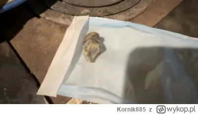 Kornik885 - #kononowicz Ciekawe, czy po 5 marca ekopet rozkręci pokątny handel prezyd...