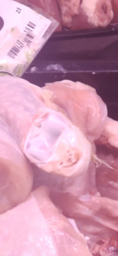 hostelowiecpl - @hostelowiecpl: