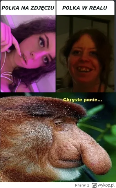 Piterw - @pan-koneser: