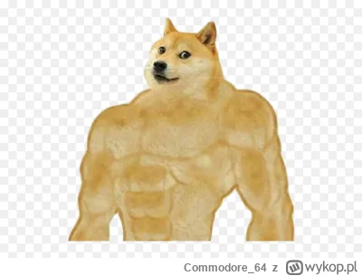 Commodore_64 - Ja po pierwszej udanej kompilacji programu w życiu pod #linux (Debian)...