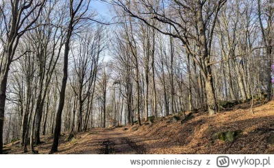 wspomnienieciszy - wiosenno-mikołajkowy klimat na Ślęży #gory