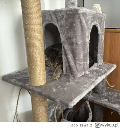 jaco_zewa - @Zmorka: