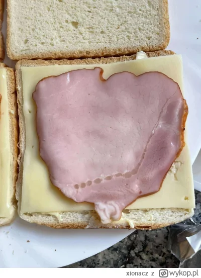 xionacz - Polska w szynkę zaklęta.
#gotujzwykopem #jedzenie #polska #heheszki