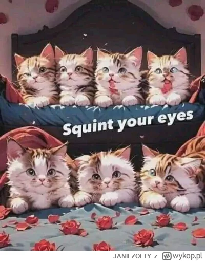 JANIEZOLTY - #aikitku