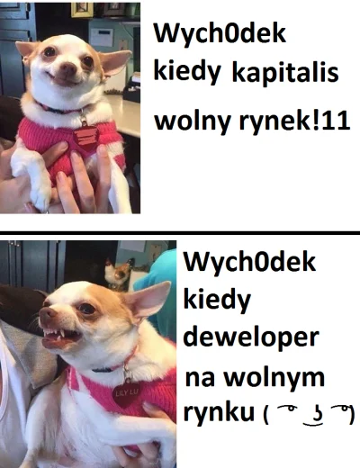 MakaronowyStwor - !Wolny rynek jest wtedy, kiedy wyk0powy kuc jest za głupi żeby wied...