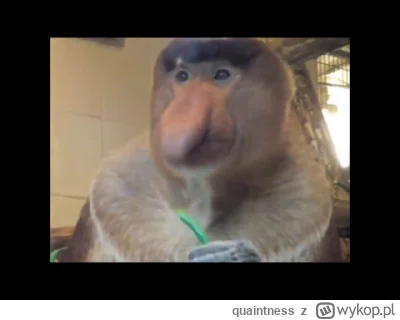 quaintness - @witold54: dobre, przypomina mi vidrel