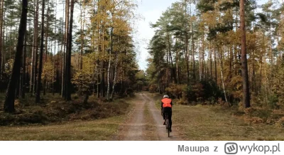 Mauupa - 797 606 + 120 = 797 726

Piękna jesienna runda i w końcu jakieś gran fondo.
...