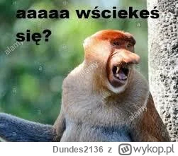 Dundes2136 - @d4wid ale piecze