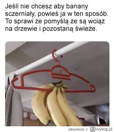 pikpoland - #heheszki #zycie #lifehack #bananynawieszaku