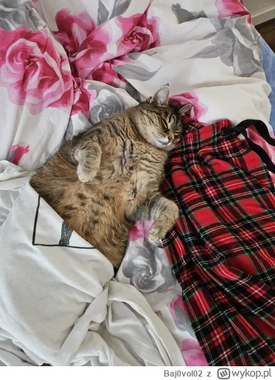 Baj0vol02 - Proszę mnie obudzić jak micha będzie pełna.

#koty 
#kot 
#pokazkota