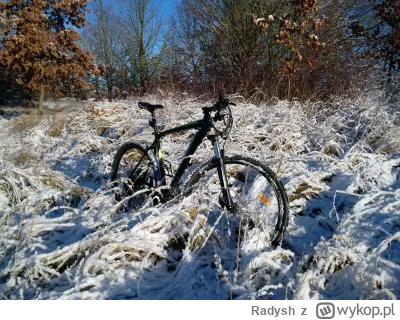 Radysh - #rowery #fotografia #chwalesie

Jako, że gorąco jest i ciężko się gejuje na ...