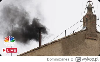 DominiCanes - Kochany dzienniczku, kardynałowie i Ty, Duchu Święty. W ramach prowadze...