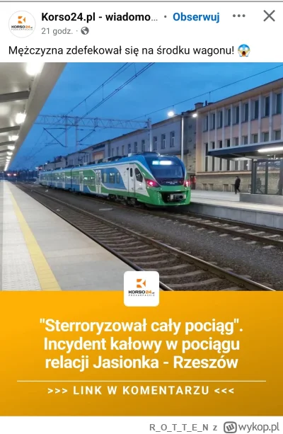 ROTTE_N - #heheszki #krosno