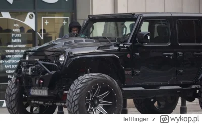 leftfinger - Przeglądy są dla Polaka biedaka, nie dla przedstawicieli innych narodów ...