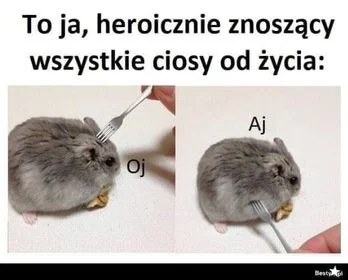 paczelok