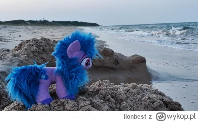 lionbest - @lionbest: potem już mogła pobawić się na plaży w piasku