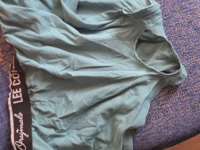 serniczekwiedensky - Chce wyrzucić takie gacie chuopa. On wrzucił je do prania xd czy...