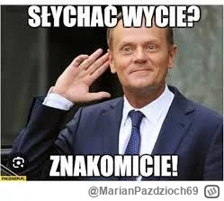 MarianPazdzioch69 - @krytyk__wartosciujacy stwierdze tak