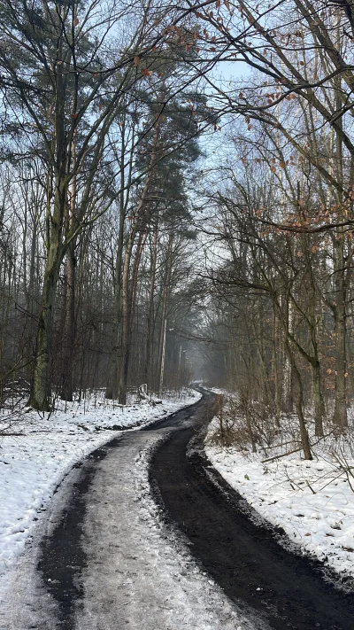 napraforgo - Moje życie zmieniło się na lepsze odkąd zdałam sobie sprawę, że biegać m...