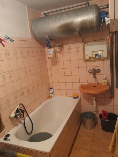 pies12347 - #przegryw pasuje się umyć i co zjeść i do spania