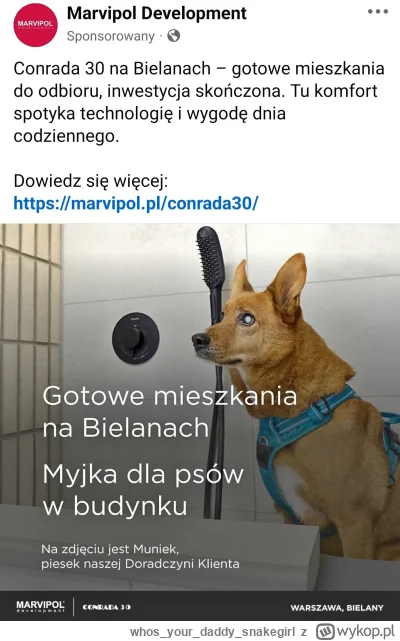 whosyourdaddy_snakegirl - #nieruchomosci #heheszki #psy #psiarze