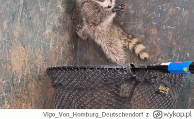 VigoVonHomburg_Deutschendorf - Co chłop szopka łowi
#szopeknadzis