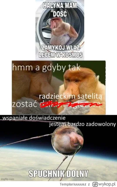 Templariuuuusz - #konkursnanajbardziejgownianymemznosaczem