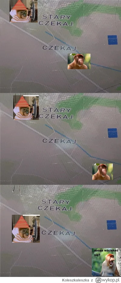 Koleszkaleszka - #konkursnanajbardziejgownianymemznosaczem