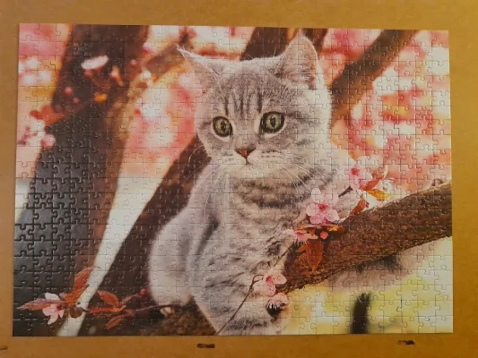 Ma_By - Trefl 500 elementów. 

#puzzle