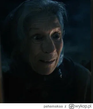 pahamakaa - W jakimś serialu widziałem już podobną scenę xddd 
#harrypotter