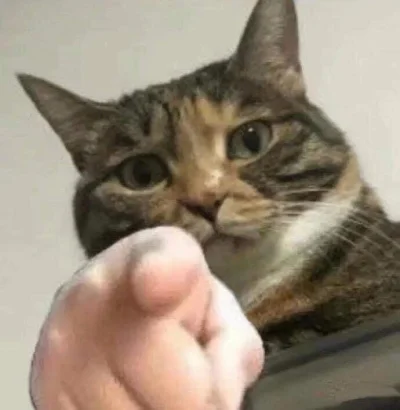 dywergent - ty, ty jestes wybrancem