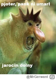 MrGerwant - #konkursnanajbardziejgownianymemznosaczem