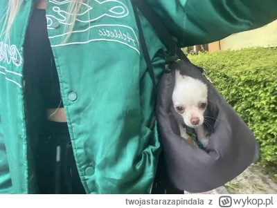 twojastarazapindala - A se poszlam na spacerek z kitulkiem i sie misia zmeczyla i sie...