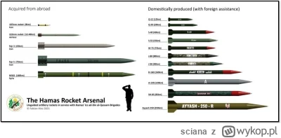 sciana - @Bardamu: Hamas ma różne rakiety