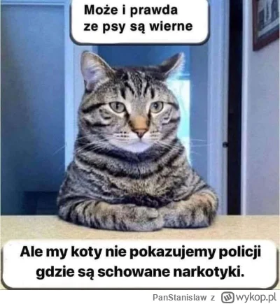 PanStanislaw - @dos_badass: