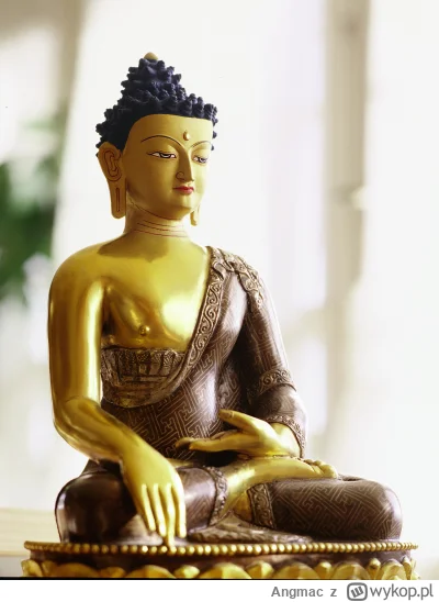 Angmac - Jeżeli inni nie mają odwagi zróbmy to my POLACY. ZBIERZMY GRUPĘ 300 POLAKÓW ...