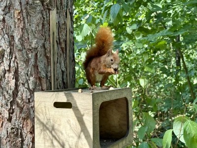 goferek - Spotkałem takiego fajnego #smiesznypiesek
#krakow