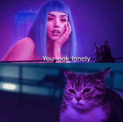 RitmoXL - ¯\(ツ)/¯