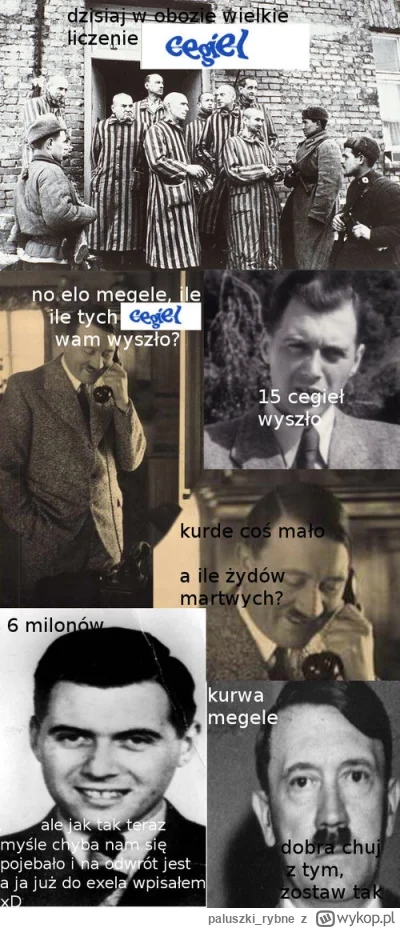 paluszki_rybne - @Lohengrin ten?