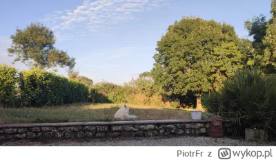 PiotrFr - I tak się powoli żyje na tej wsi

#psy #nieruchomosci