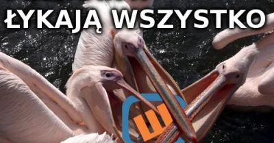 z.....i - fajna inscenizacja tylko widać cięcie ( ͡° ͜ʖ ͡°)