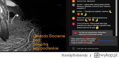 RandyBobandy - Nieźle tam kogoś p------o, 12 tygodni, żeby skomentować bociany na cza...