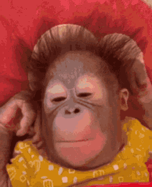 Exit25 - #kononowicz #patostreamy #czikakiri podobno zamawiałeś piosenkę 🚬😜 bawimy ...