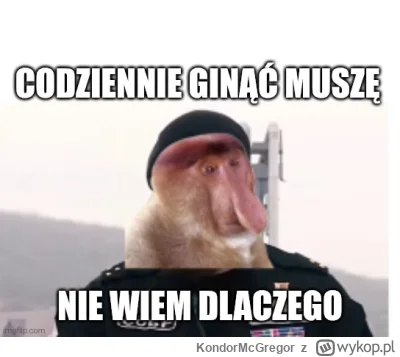 KondorMcGregor - #konkursnanajbardziejgownianymemznosaczem #codziennytuszajew #hehesz...