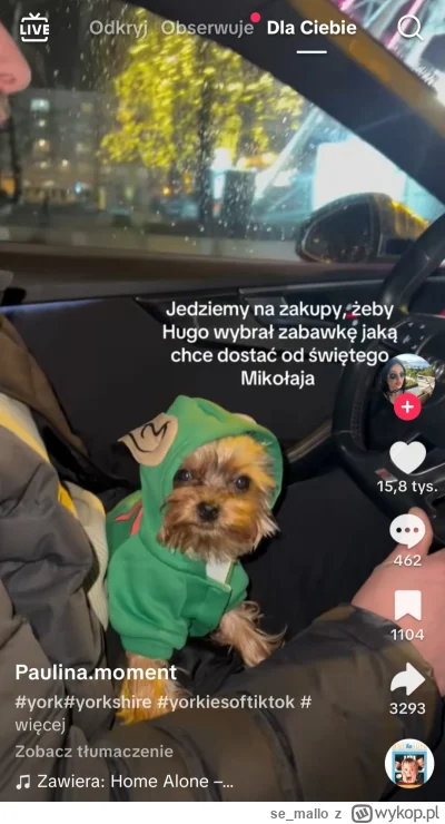 se_mallo - czujecie magię tych świąt? xd #psiarze #bekazpodludzi #patologiazmiasta