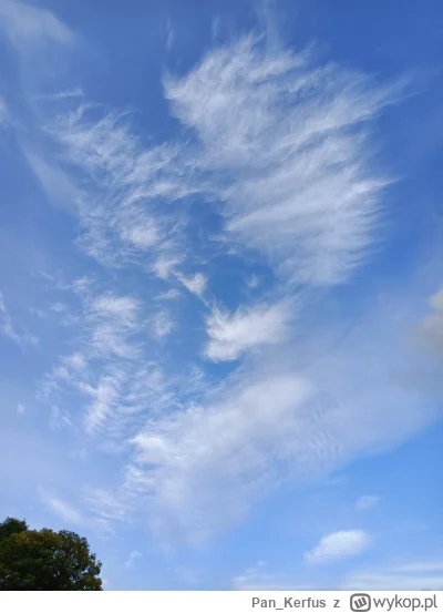 Pan_Kerfus - Czy ktoś może powiedzieć co to są za chmury? 
#chmura #lotnictwo
